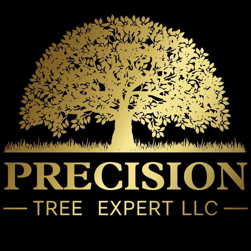 Precision Tree Expert LLC | Ridgeland MS