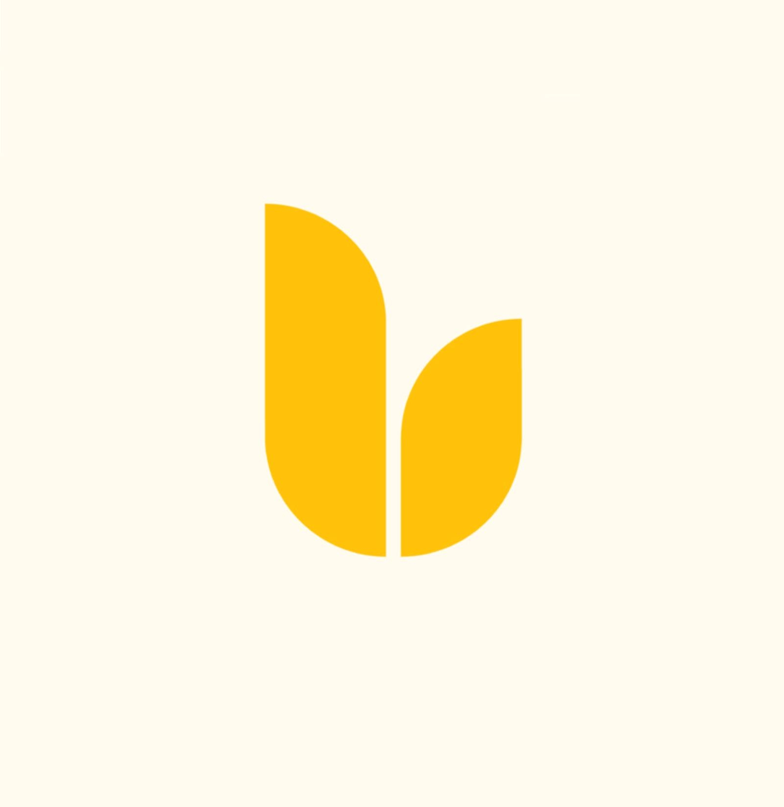 UB Design
