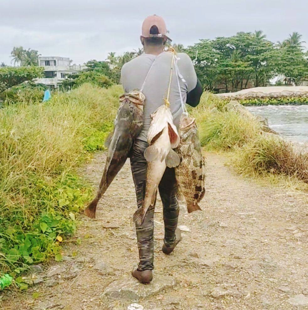 സഹീറിക്ക സാൽമൺ പിടിക്കുന്നത് കണ്ടോ #salmonfishing #salmon #fishing # ...