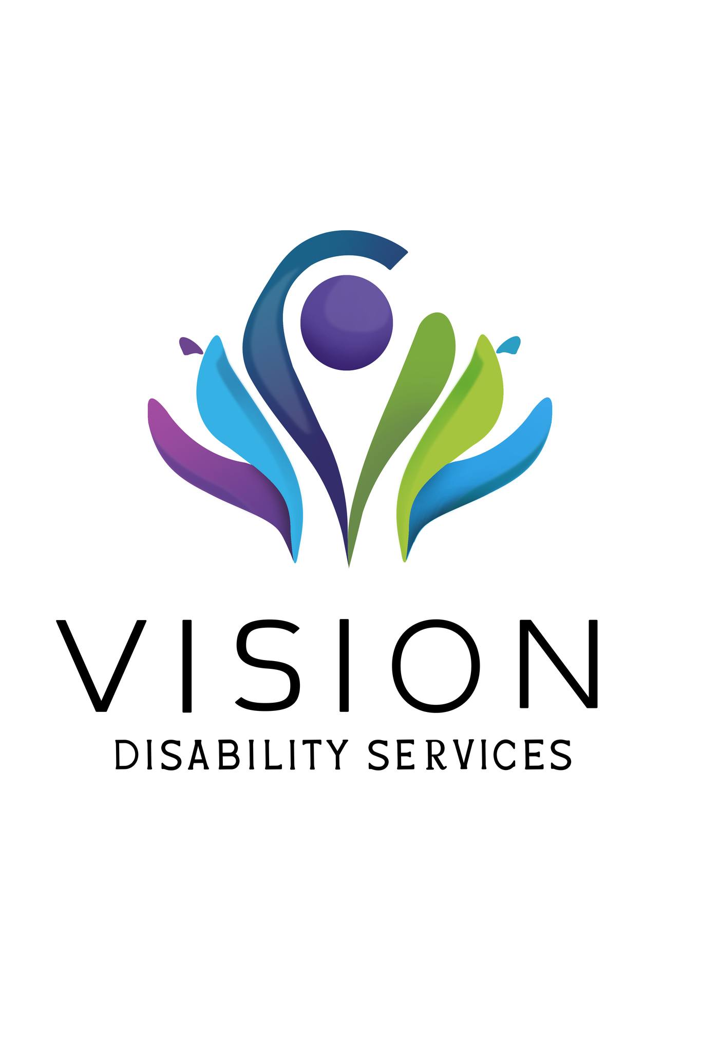 Vision Disability Services