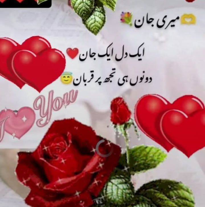 روښان Rahmatullah 🇦🇫 | Rahmatullah Hostai