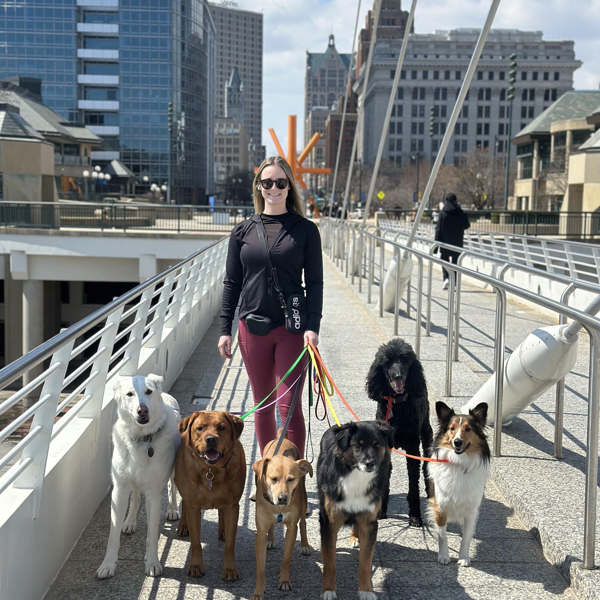 ALT Dog Run | Milwaukee WI