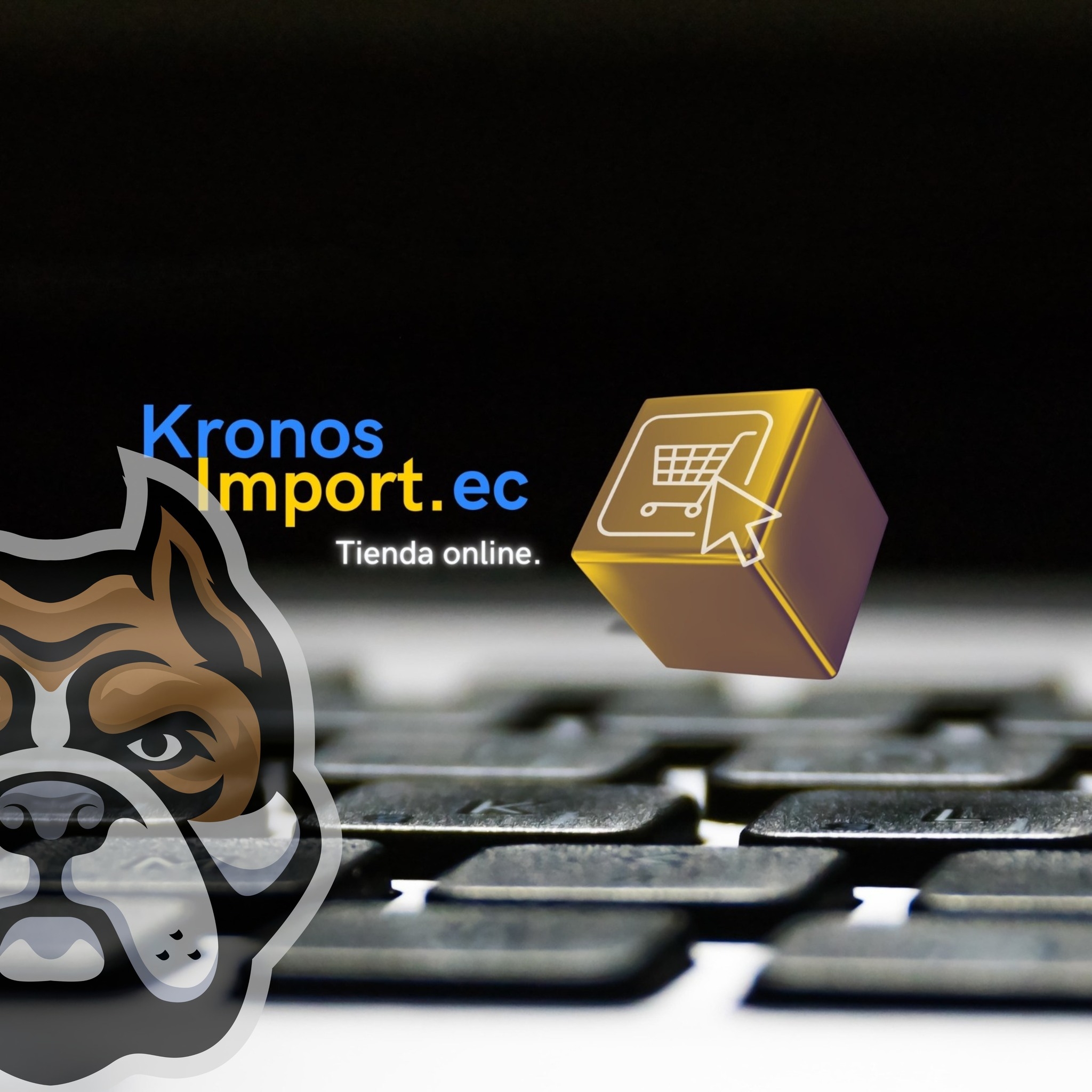 Kronos Import | Quito