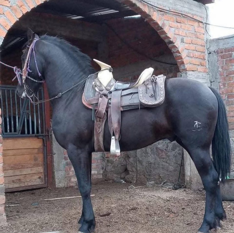 🤣😅No es que no somos ordenadas simplemente nos acabamos de cambiar en ...