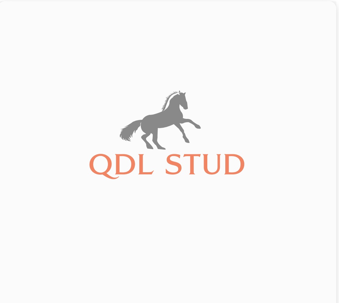 QDL Stud | Bedford