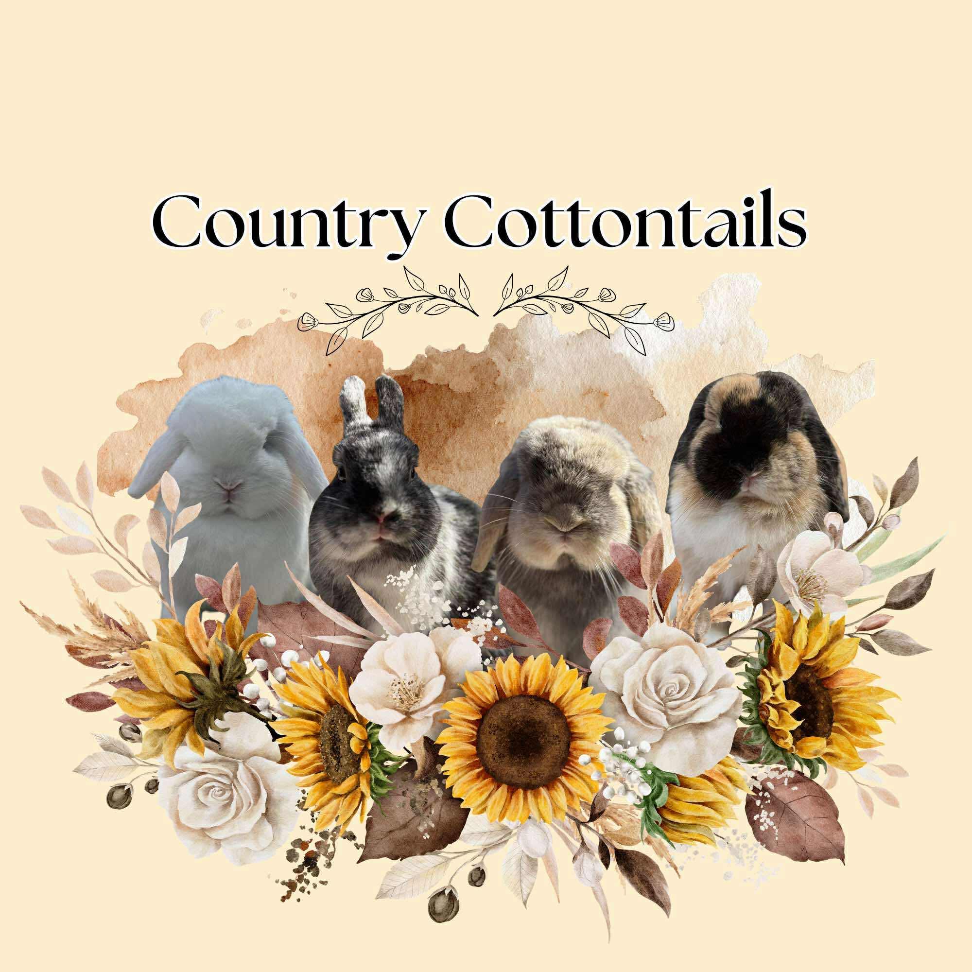 Country Cottontails