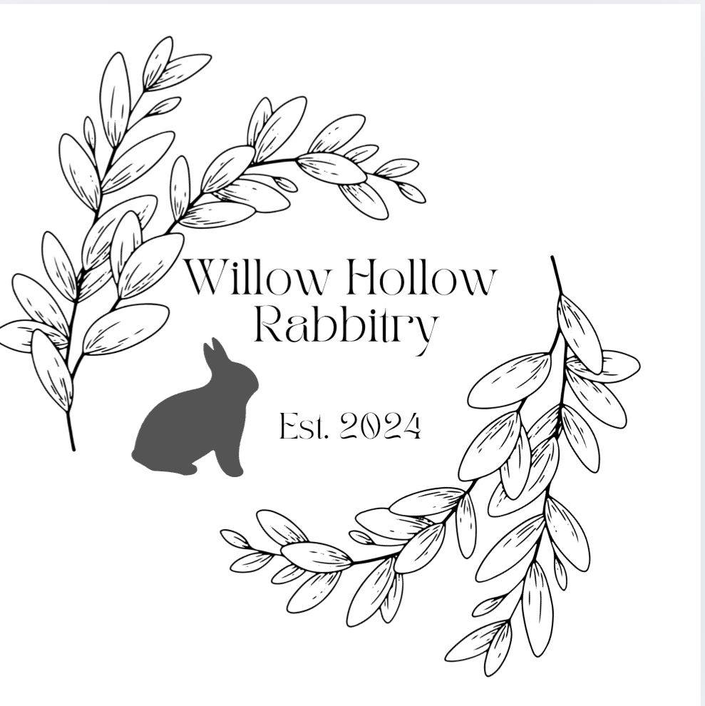 Willow Hollow Rabbitry | Maple Valley WA