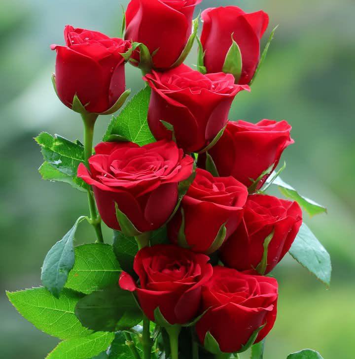 Dua main mangna tera #truelove #hindiquotes #urdupoetry | Visible Thought