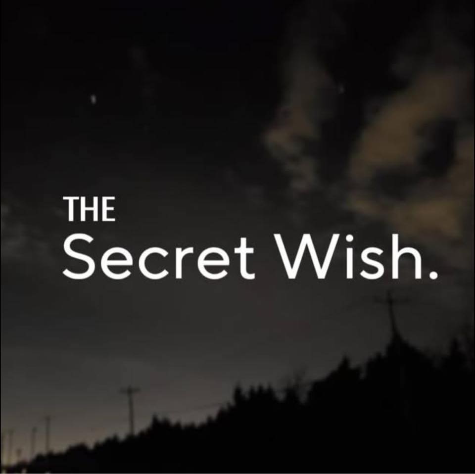 The Secret Wish List26759704