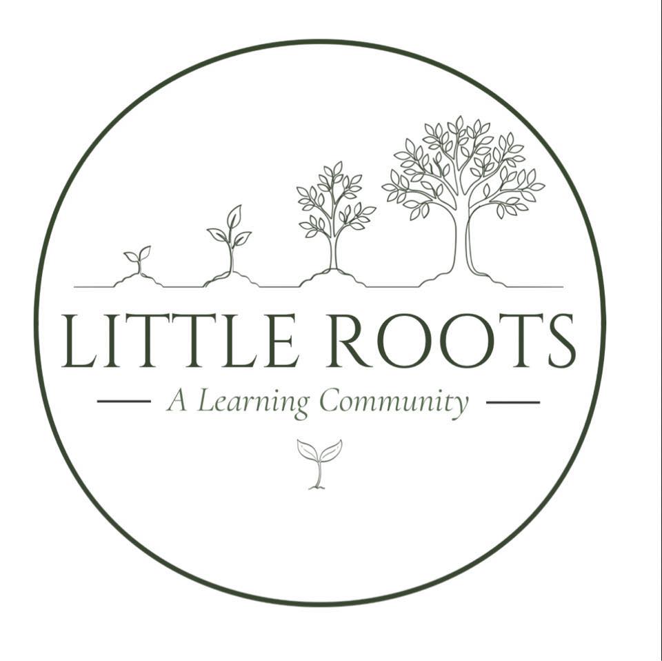 Little Roots Academy | Herndon VA