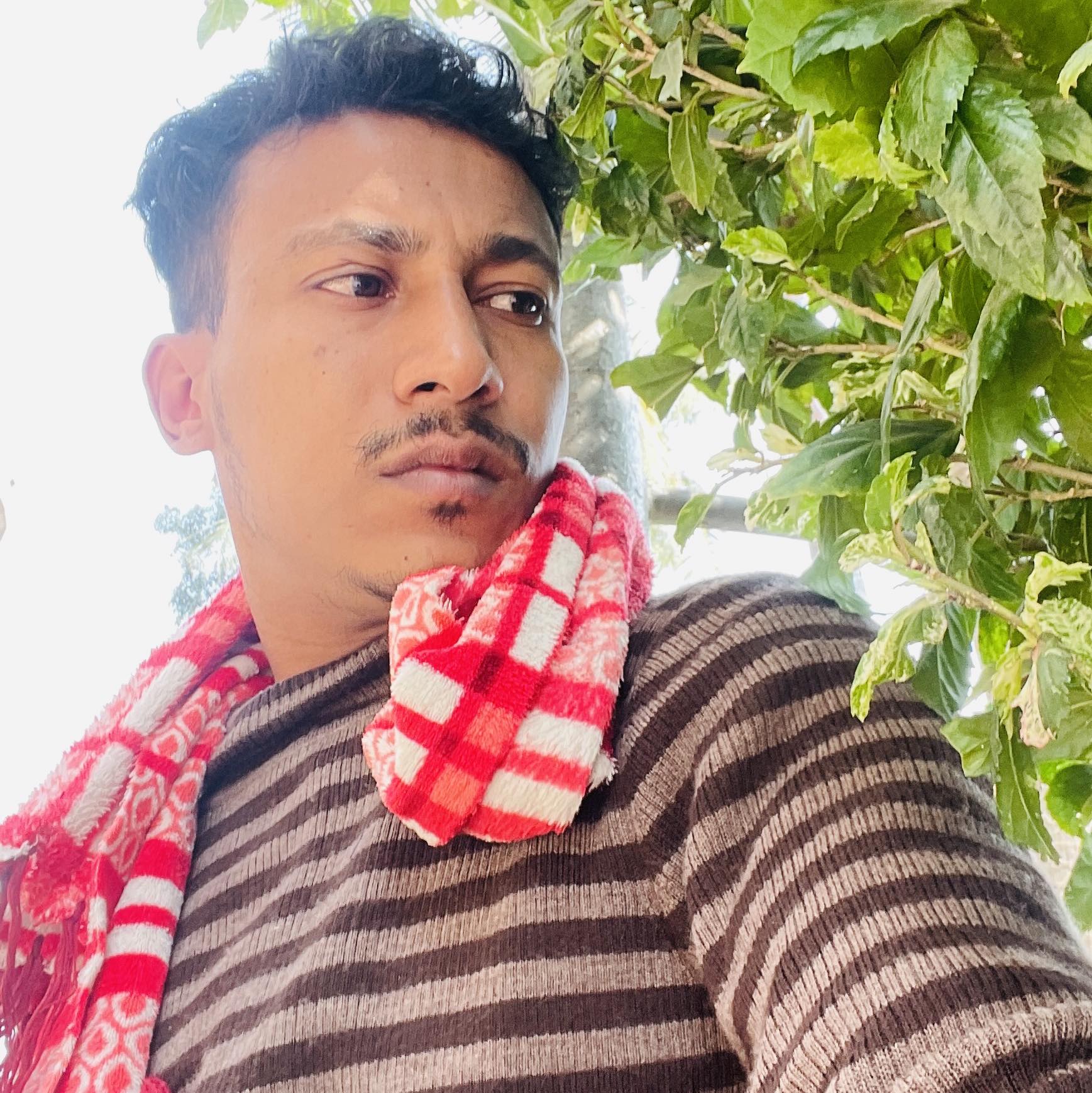 Voice of Razib