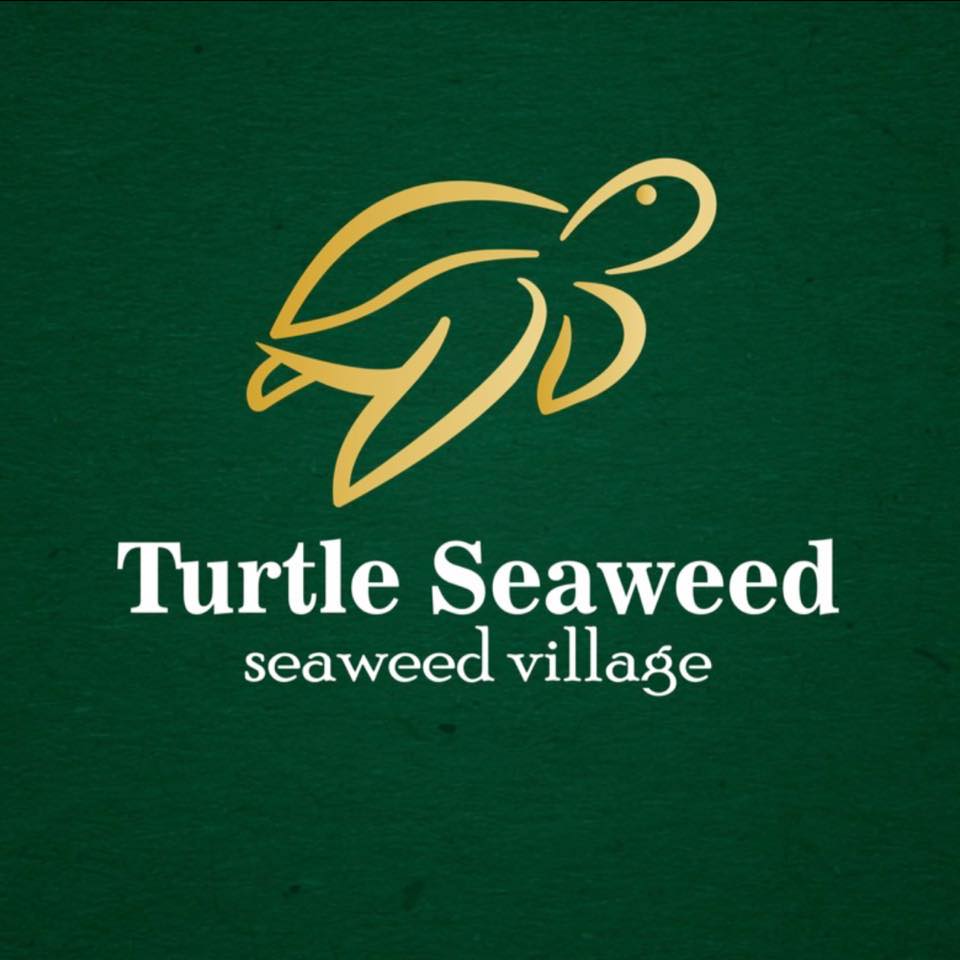 Turtle Seaweed | Semporna
