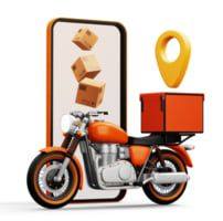 Optimore Delivery