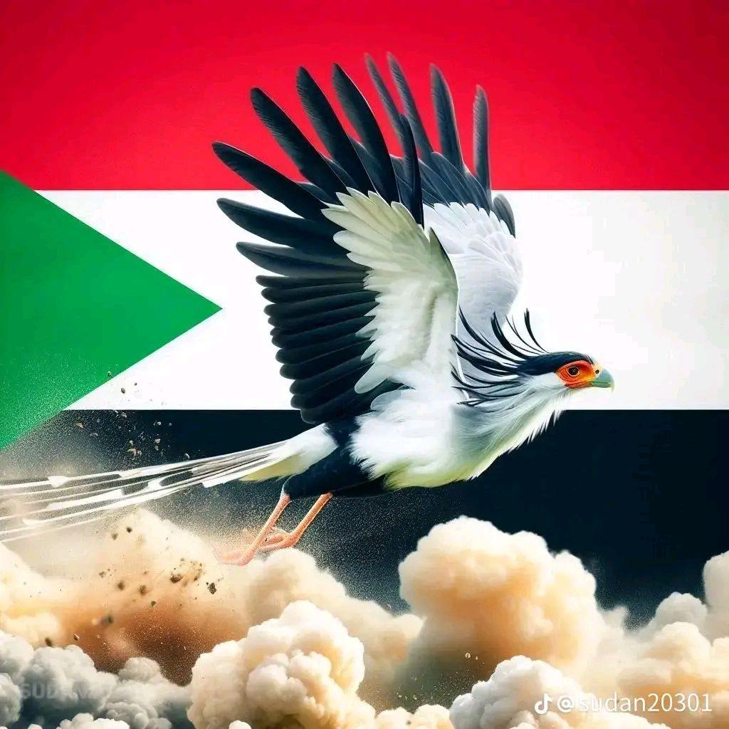 منان الفدائى