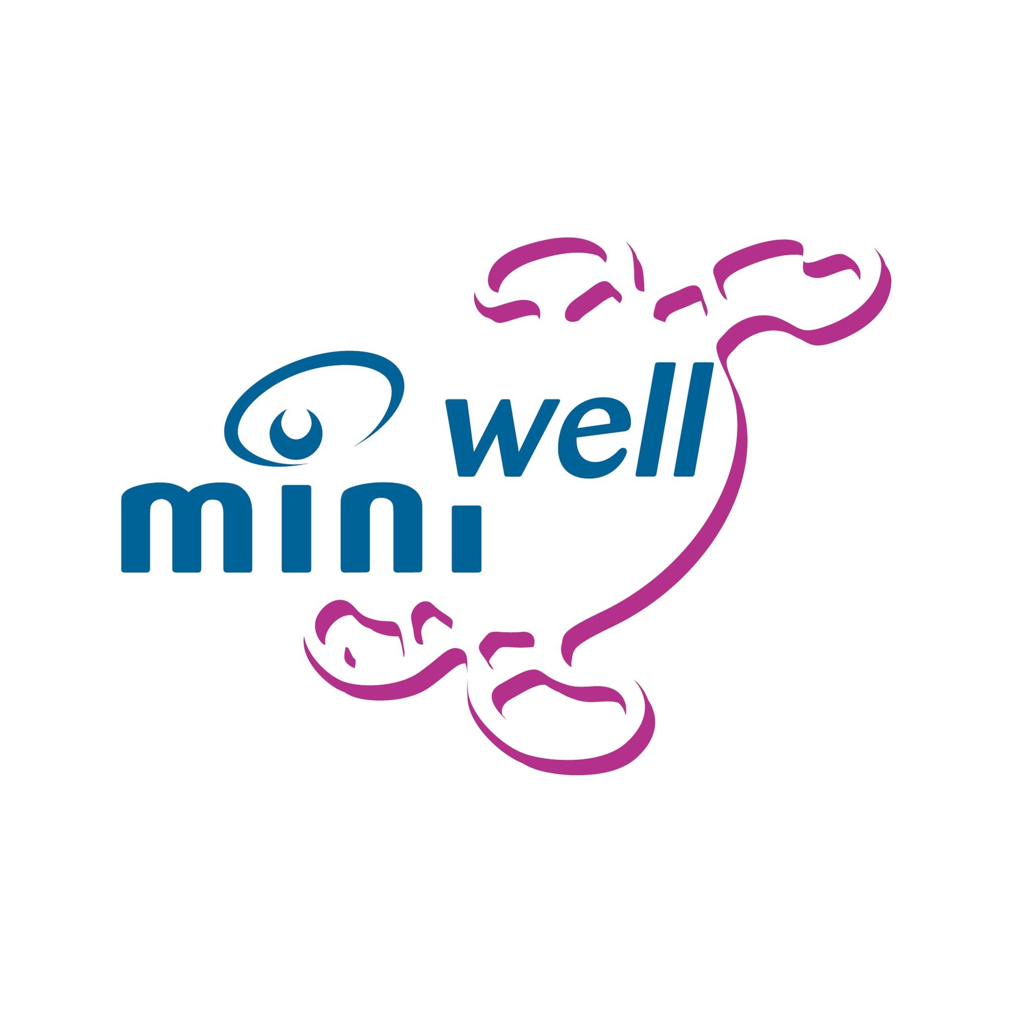 Mini Well IOL