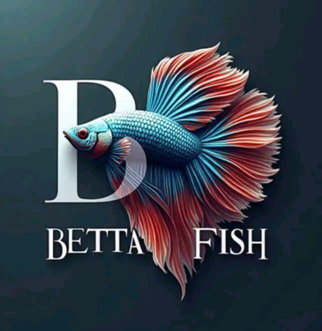BM Betta Fish