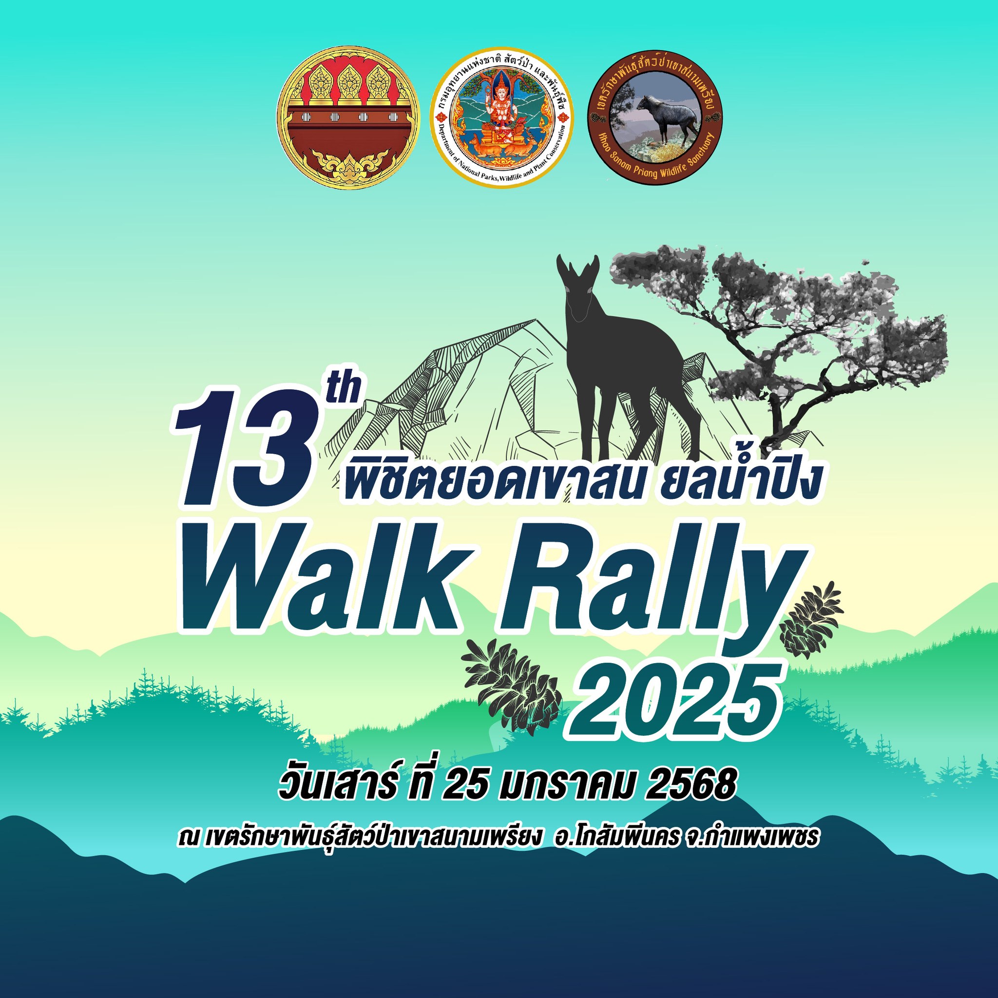 Walk Rally พิชิตยอดเขาสน ยลน้ำปิง ครั้งที่ 13