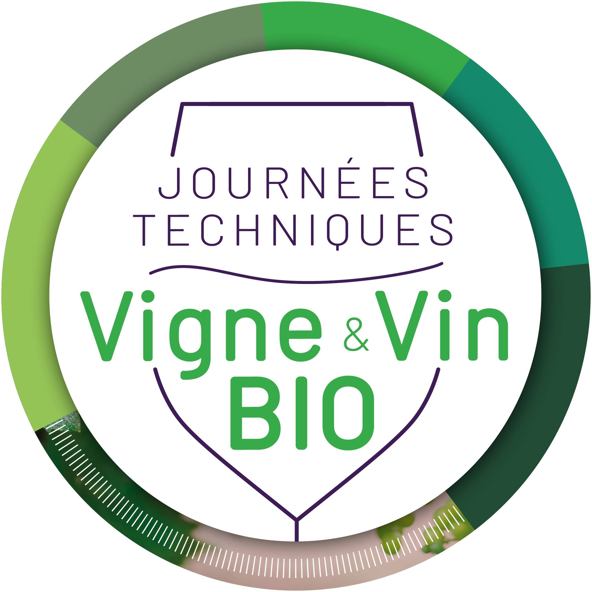 Quels services rend la viticulture bio ? 🌿 Connaissez-vous les ...