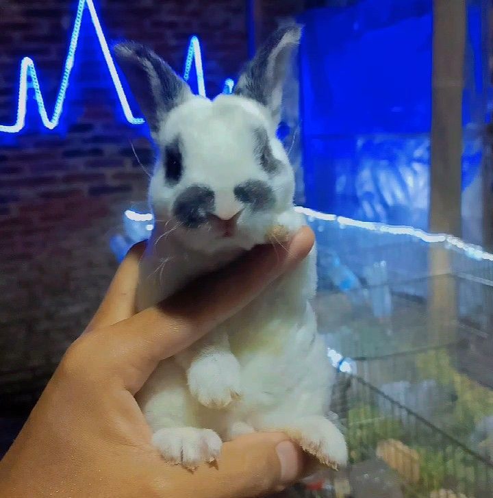 The definition of bringing together two things that don't go together ...