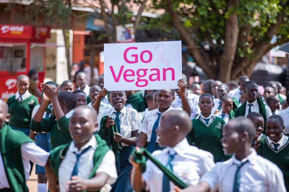 Building Healthy Communities Africa | Kalisizo