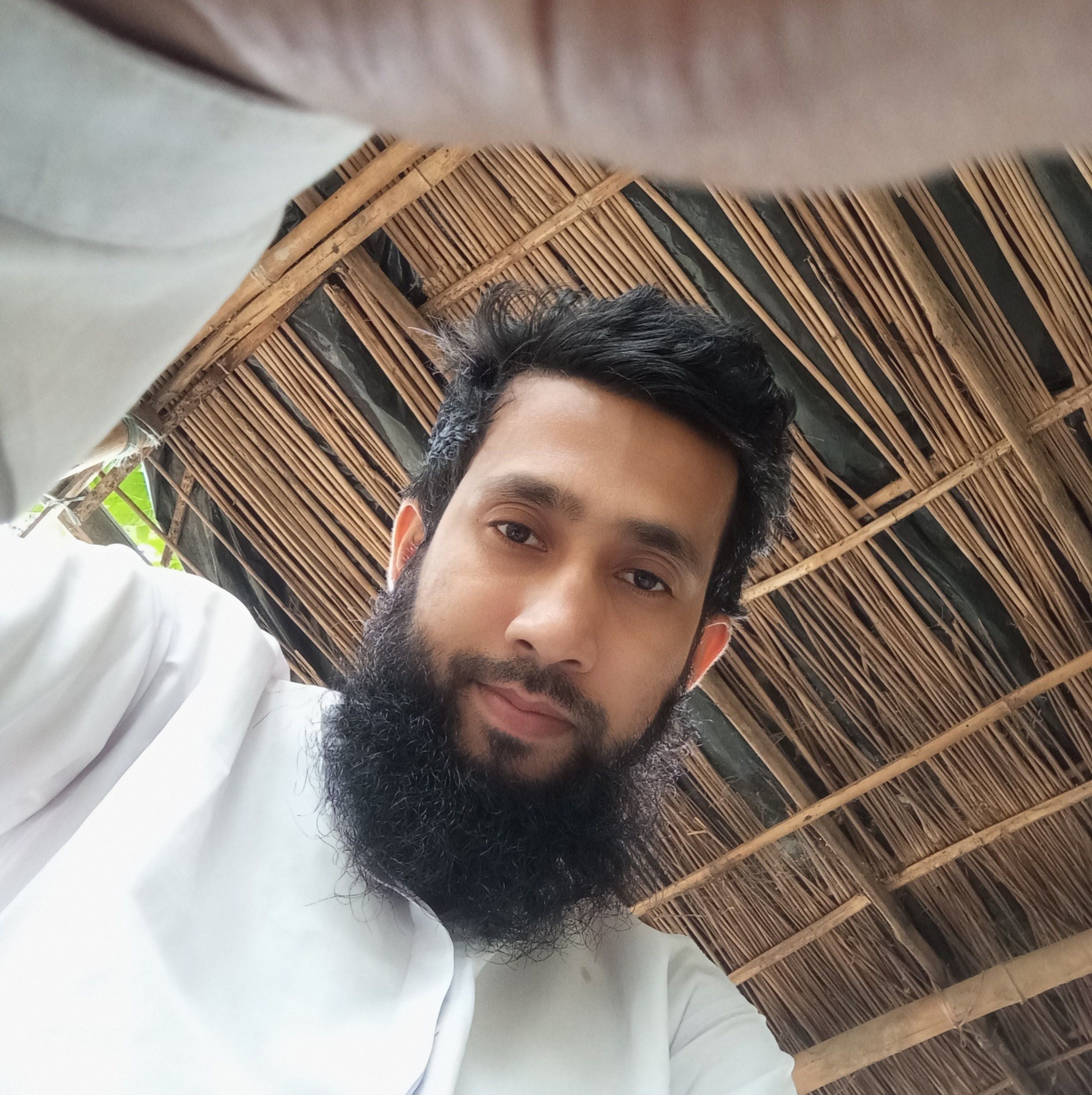 ওলি ভাই