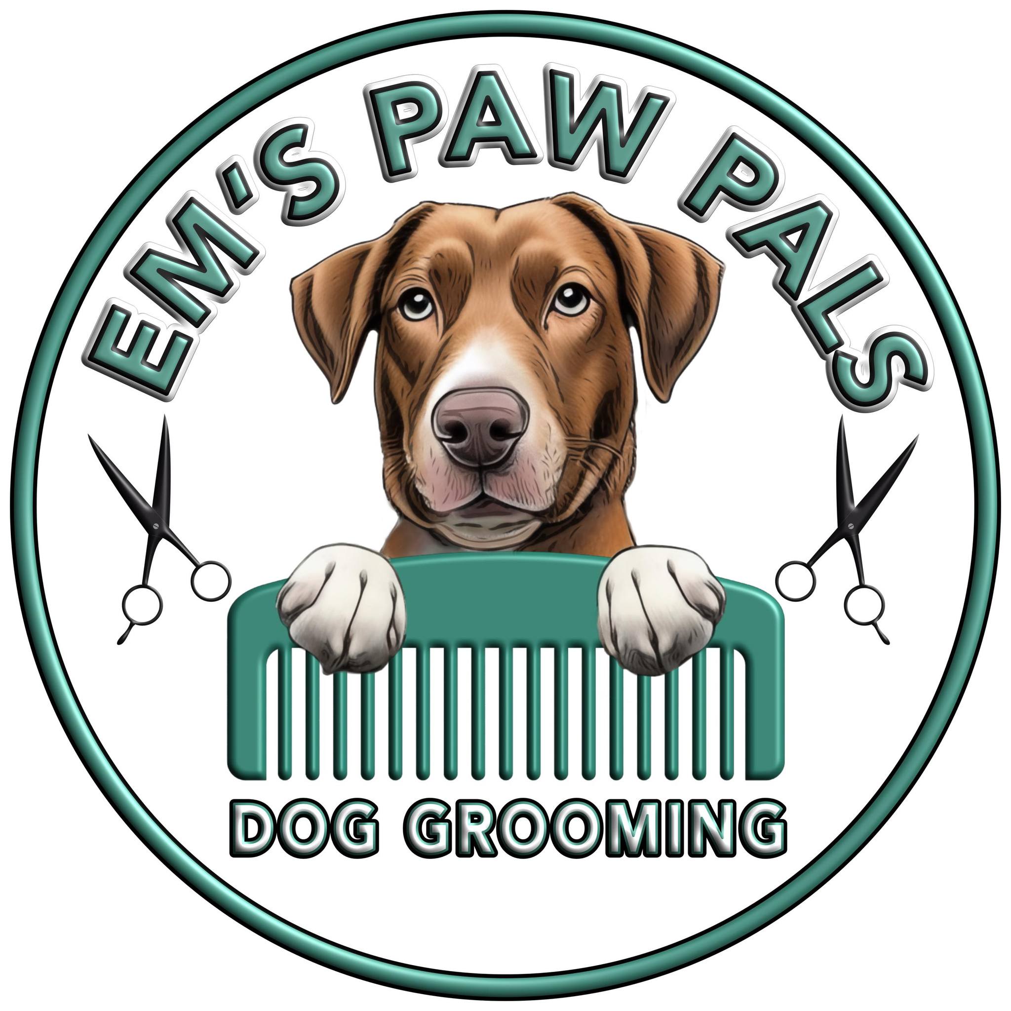 Ems Paw Pals - dog grooming | Sholden