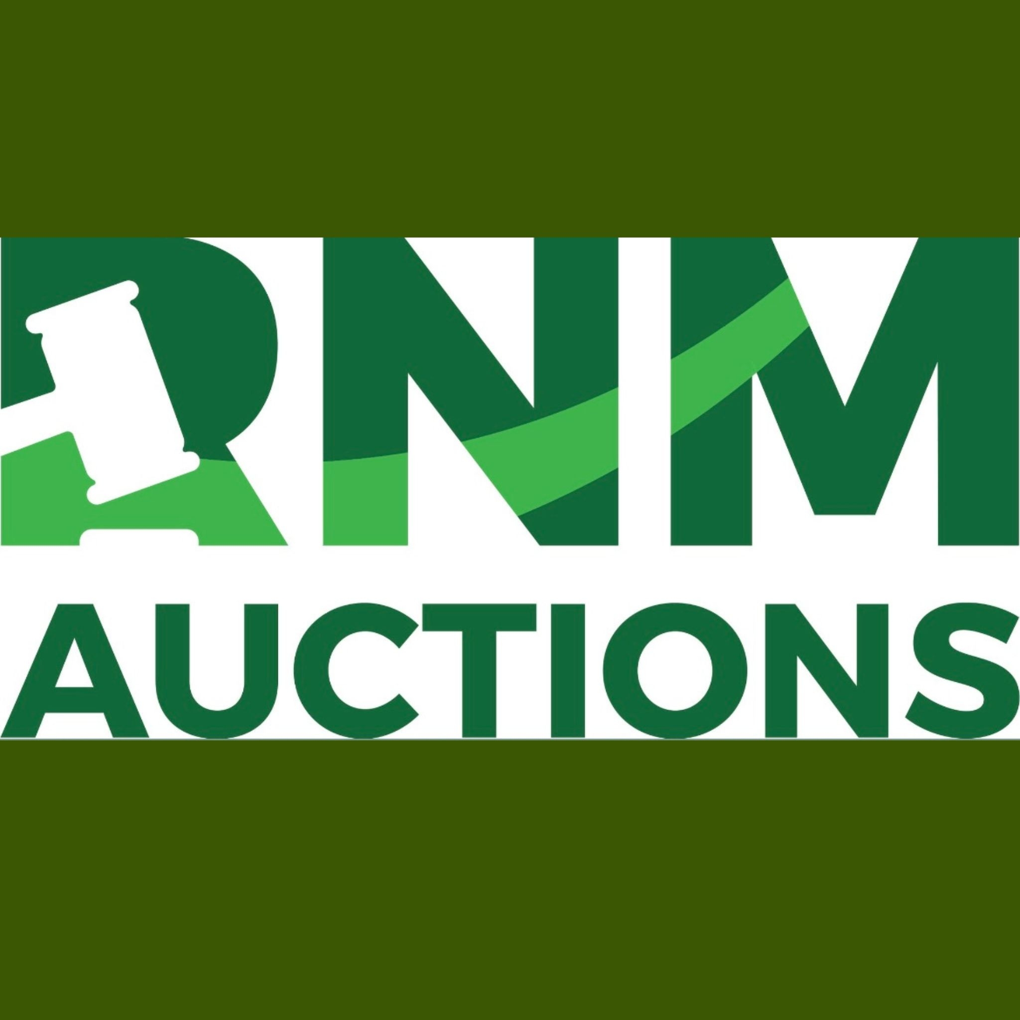 RNM Auctions | Birr
