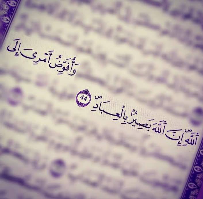 پەلە مەکە لە کاری خودا! | د. ئەحمەد ڕازی Dr.Ahmad Razi