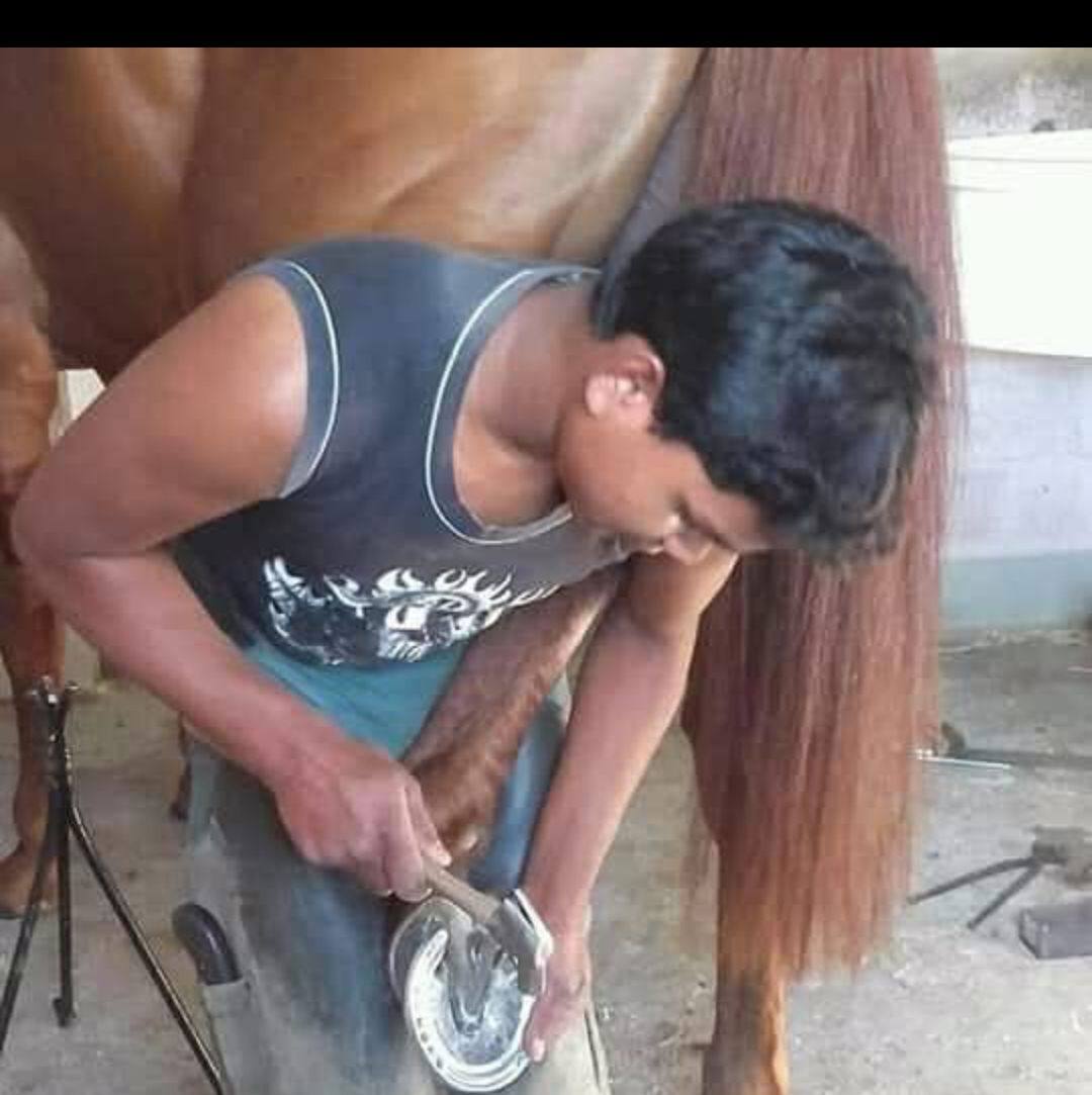 Rehan