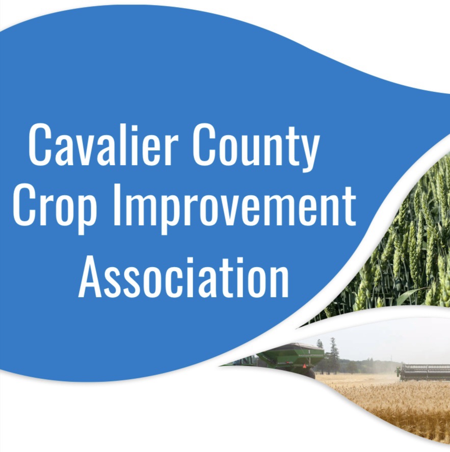 Cav Co Crop Improvement Assoc - CCCIA | Langdon ND