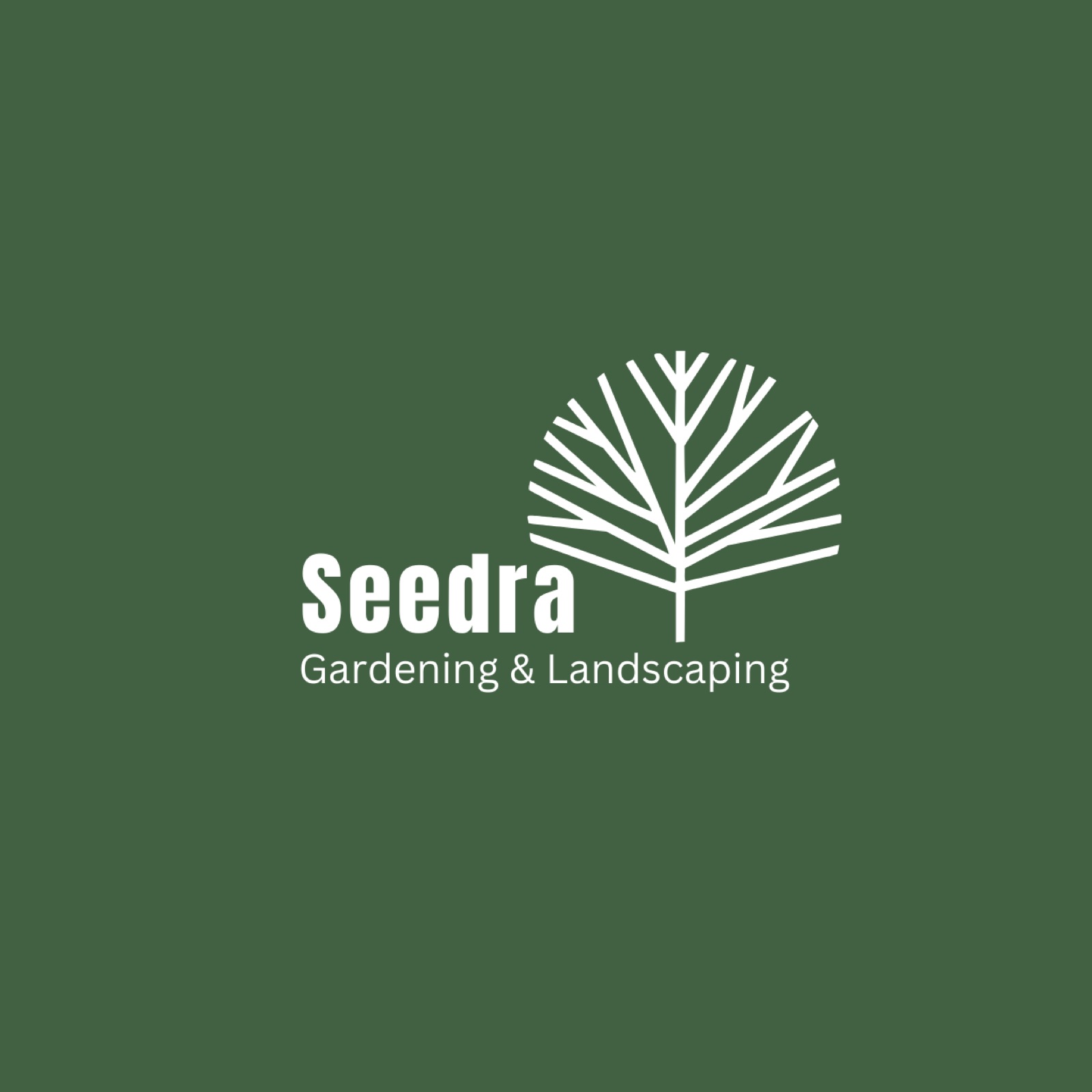 Seedra | Kuwait City