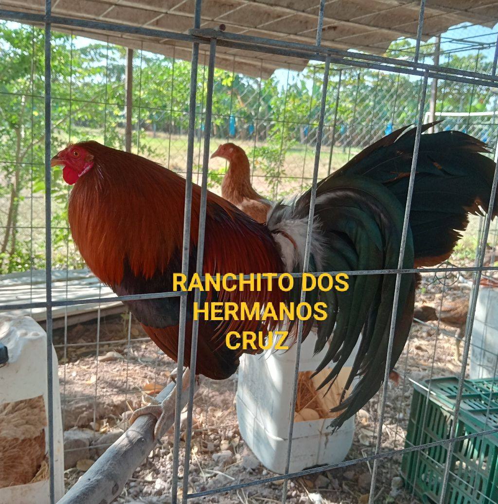 Ranchito dos hermanos cruz