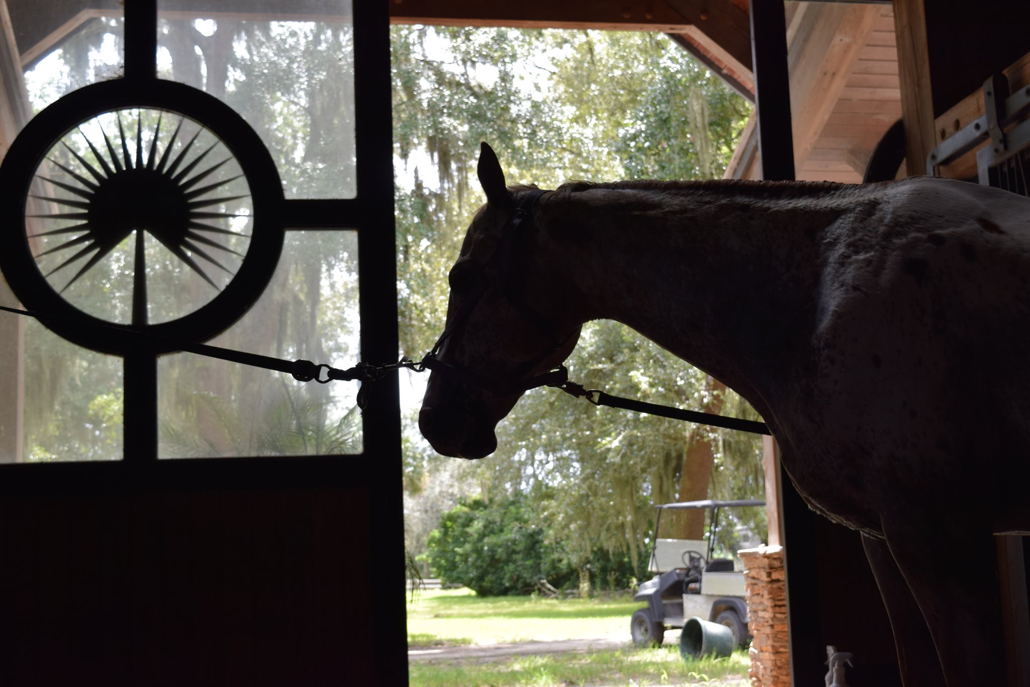 Hampton Island Equestrian Center