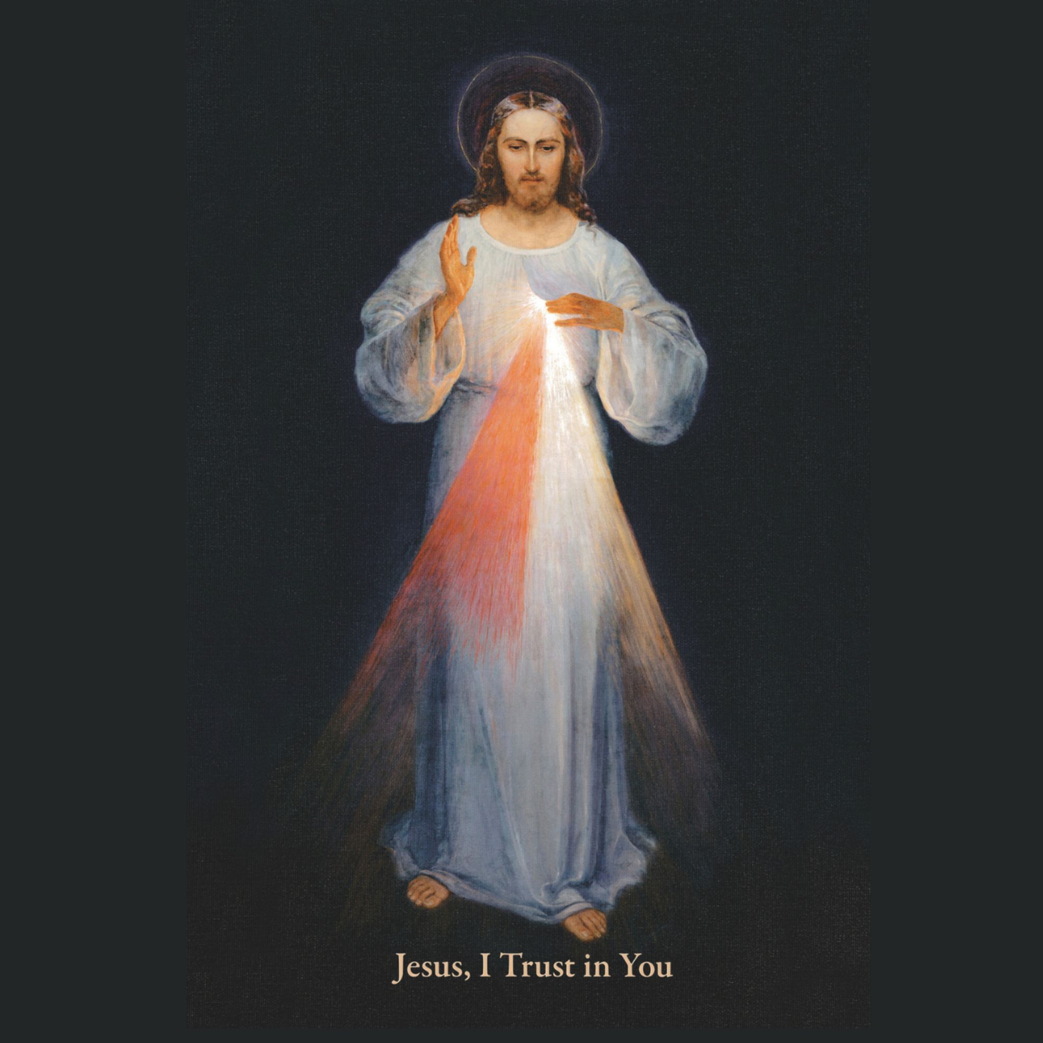 Divine Mercy Shrine... - Divine Mercy Shrine Keysborough