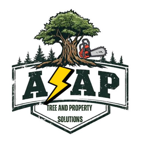 ASAP Tree and Property Solutions | Danielson CT