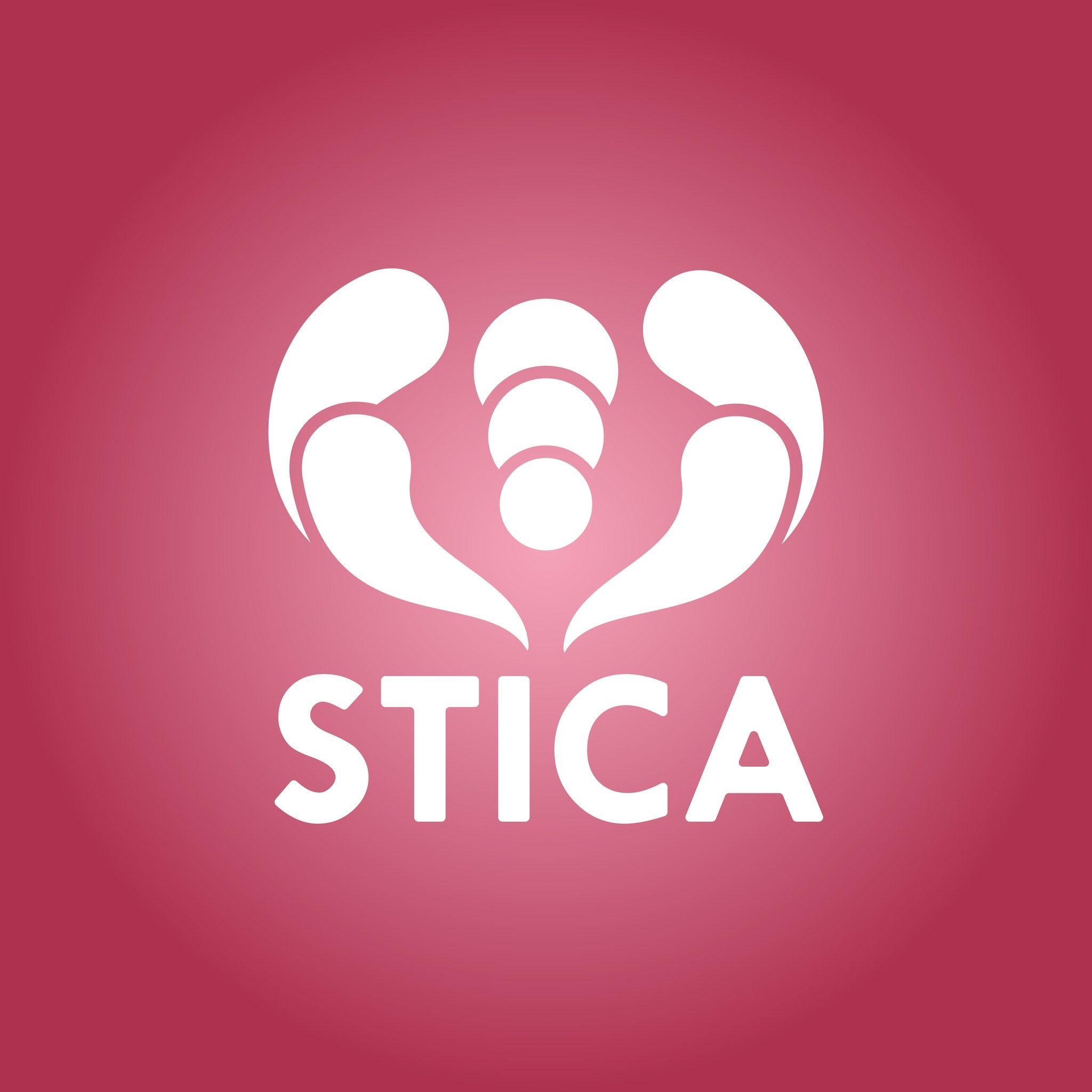 STICA Sindicato de Trabajadores del Instituto Cultural de ...