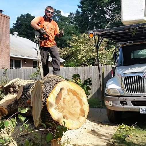 Span rigging an oak overtop of a home in Newport News. | TreeTopology ...