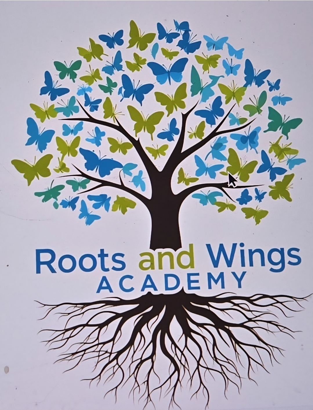 Roots and Wings Academy LLC