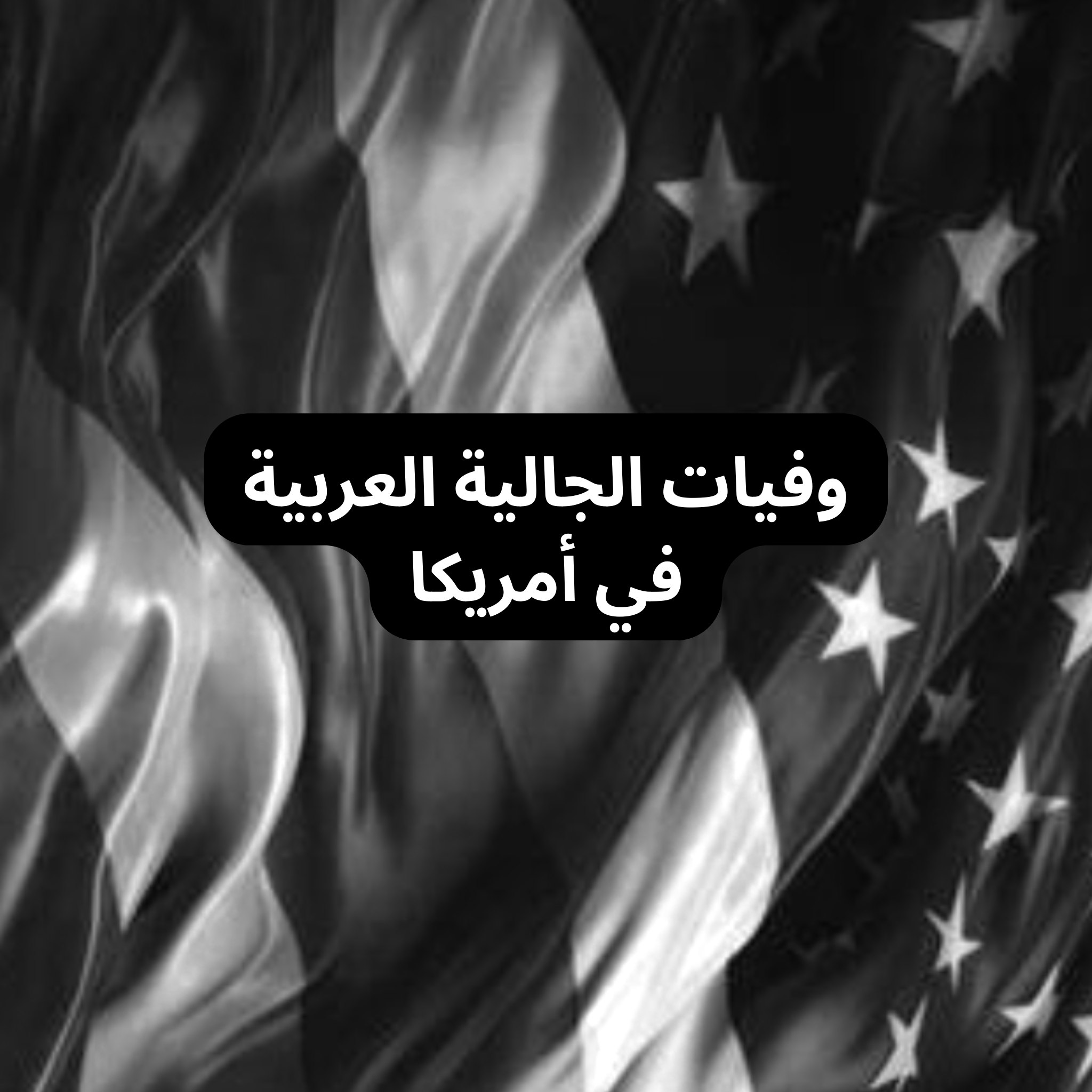 الجالية العربية في أمريكا حصراً | Facebook