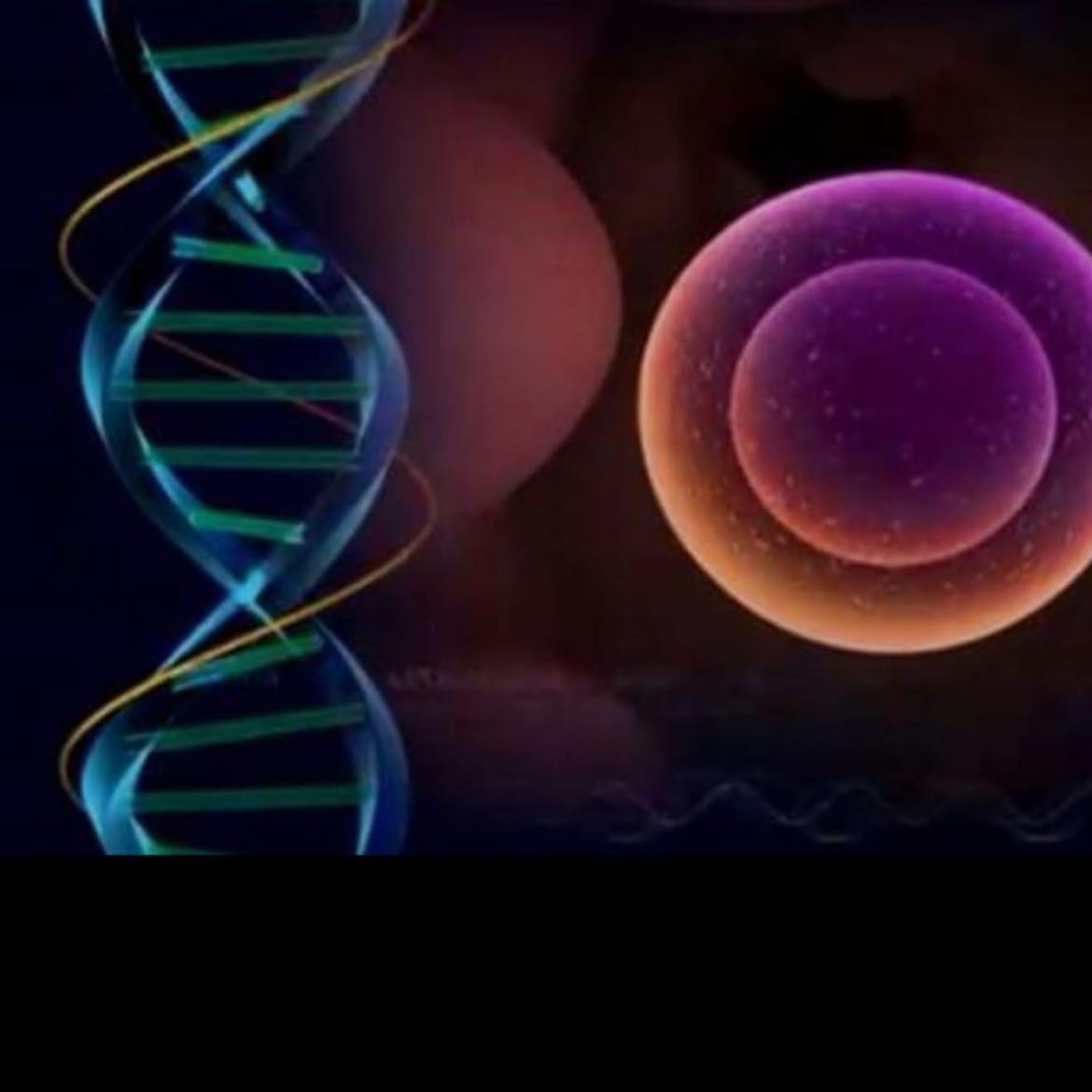 Soul Prosperity | Dr. Kynan Bridges