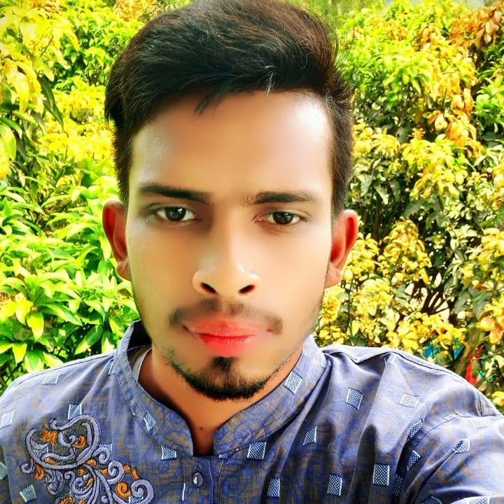 Md.SR Shamim