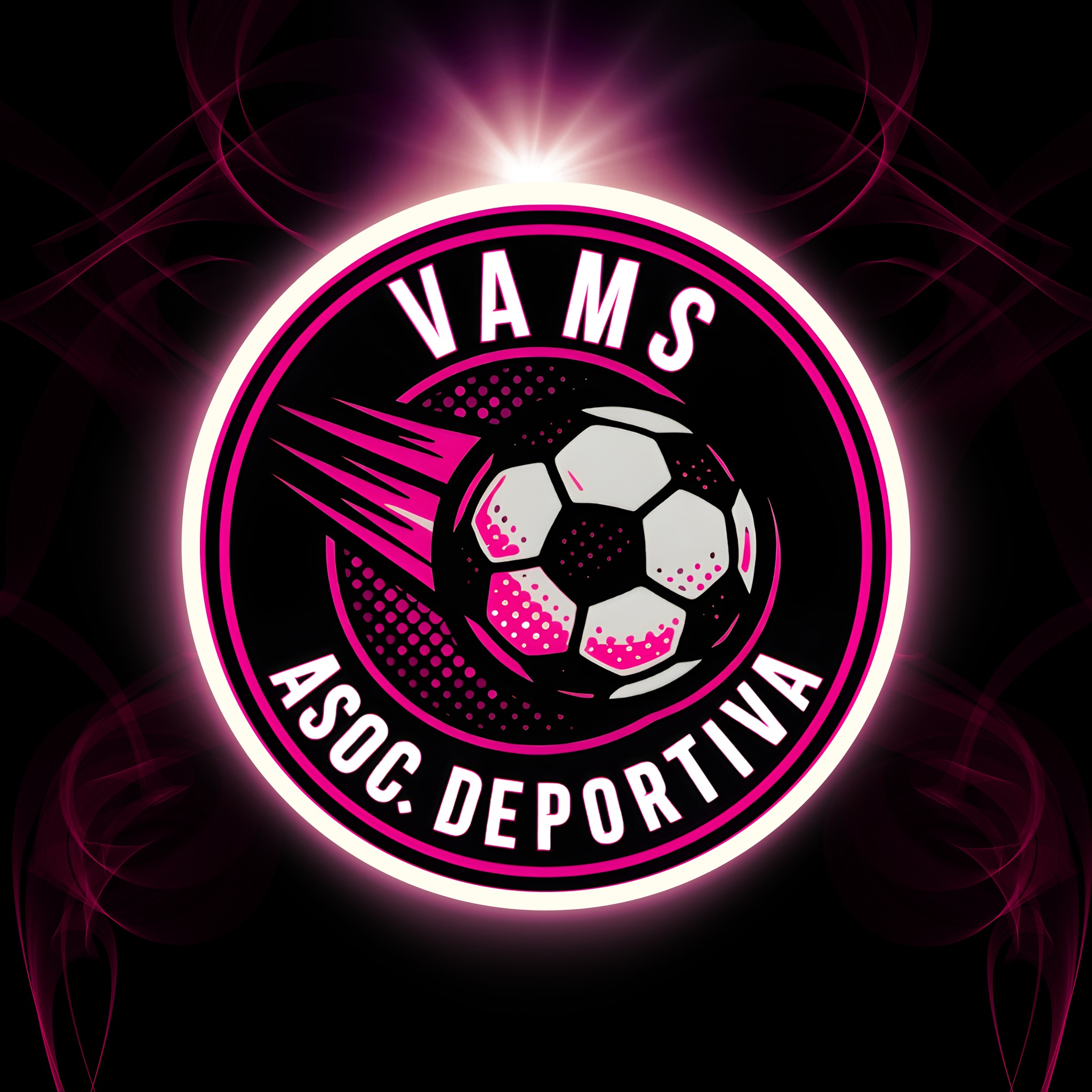 VAMS Football Academy