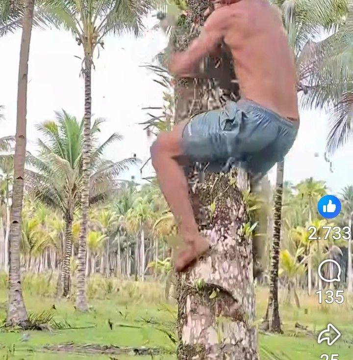 Inalilahi PCX nyungsep di tanjakan dieng via kembang langit, Hati-hati ...