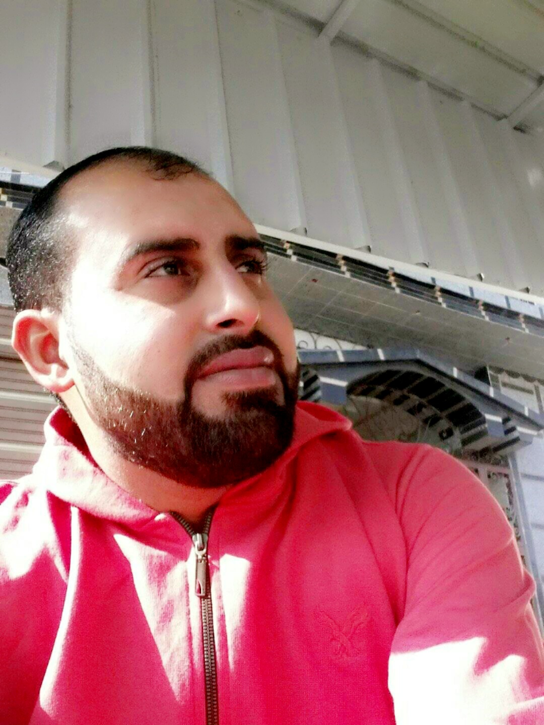 عبدالحي لطفي