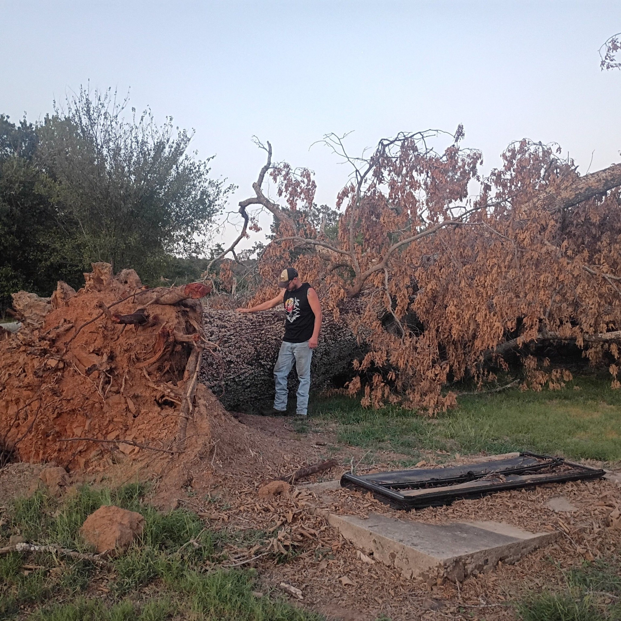 Ridgeline Tree and Landscape service | Fort Smith AR