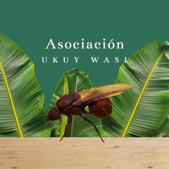 Aso Agropecuaria Kichwa Ukuy Wasi