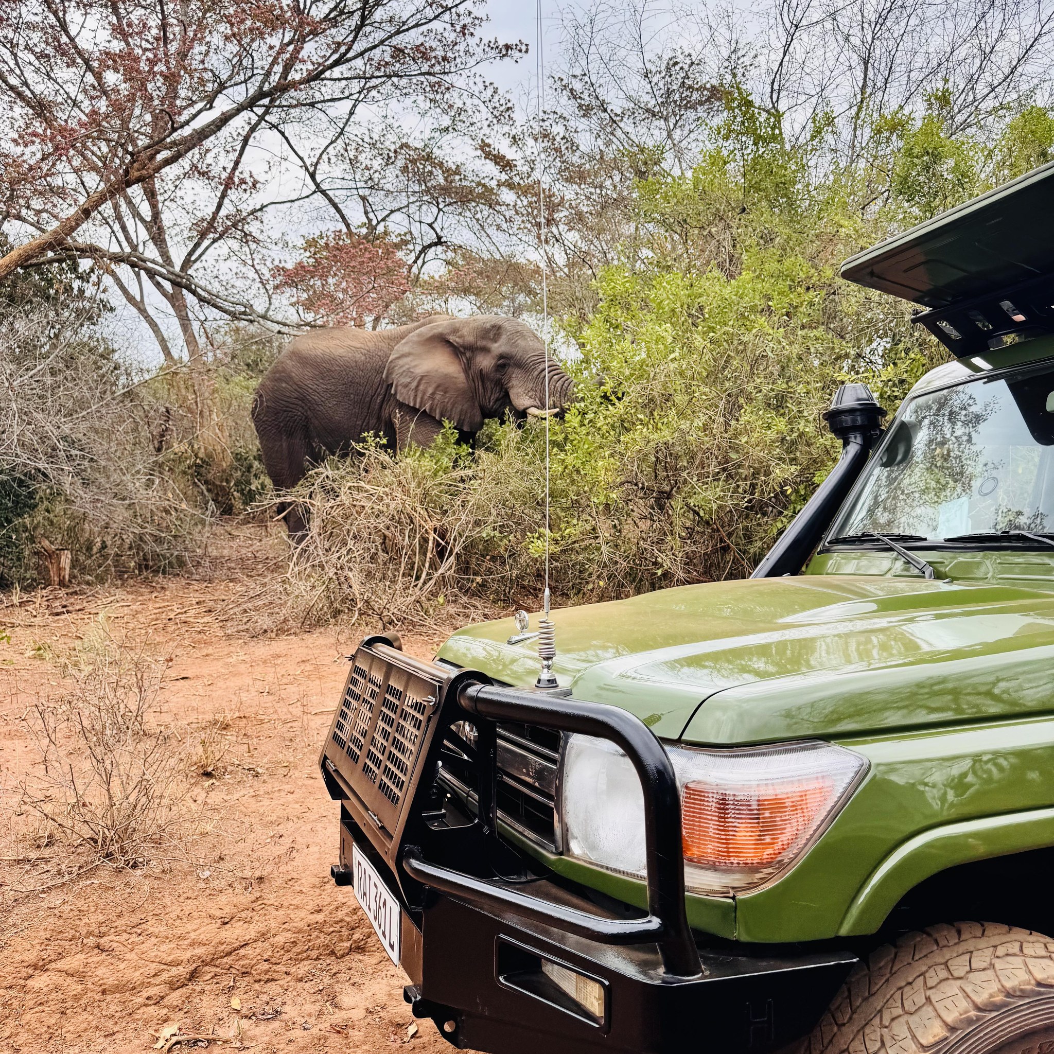 Noble Africa Safaris | Kigali