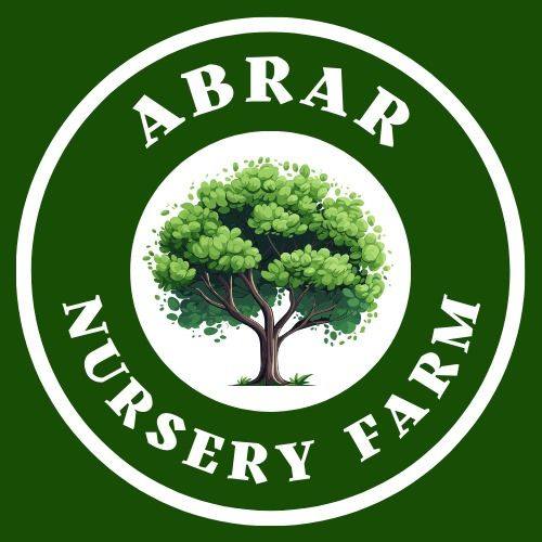 Abrar Nursery Farm