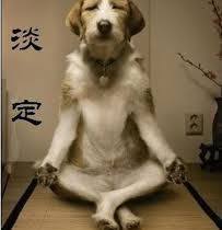 Con này là rắn hay thằn lằn m.n. mùa lũ nó hay vào nhà. Nguồn ảnh ...