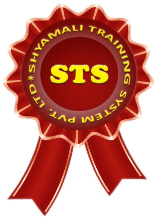 STS Computer Education Purnea | Purnea